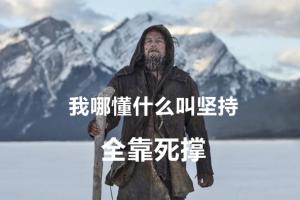 找奧斯卡影帝來代言 VAN系車型不火怎么行