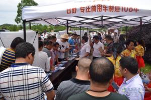 廣汽日野2017新品推薦會(huì)長(zhǎng)沙站