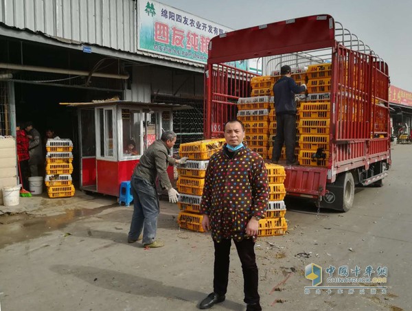 易東曉每天用福田奧鈴車(chē)去養(yǎng)殖基地拉土雞到成都批發(fā)市場(chǎng)