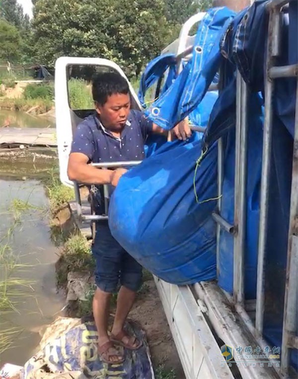 正在從祥菱物流之星卸魚中的劉師傅