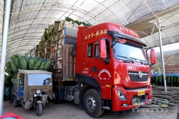 車輛裝好鮮花綠植踏上返程之路，車貨總重仍為49噸