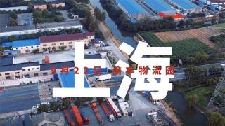 馭鑒康明斯大馬力國(guó)六發(fā)動(dòng)機(jī)的澎湃  成都渝豐物流園發(fā)車！