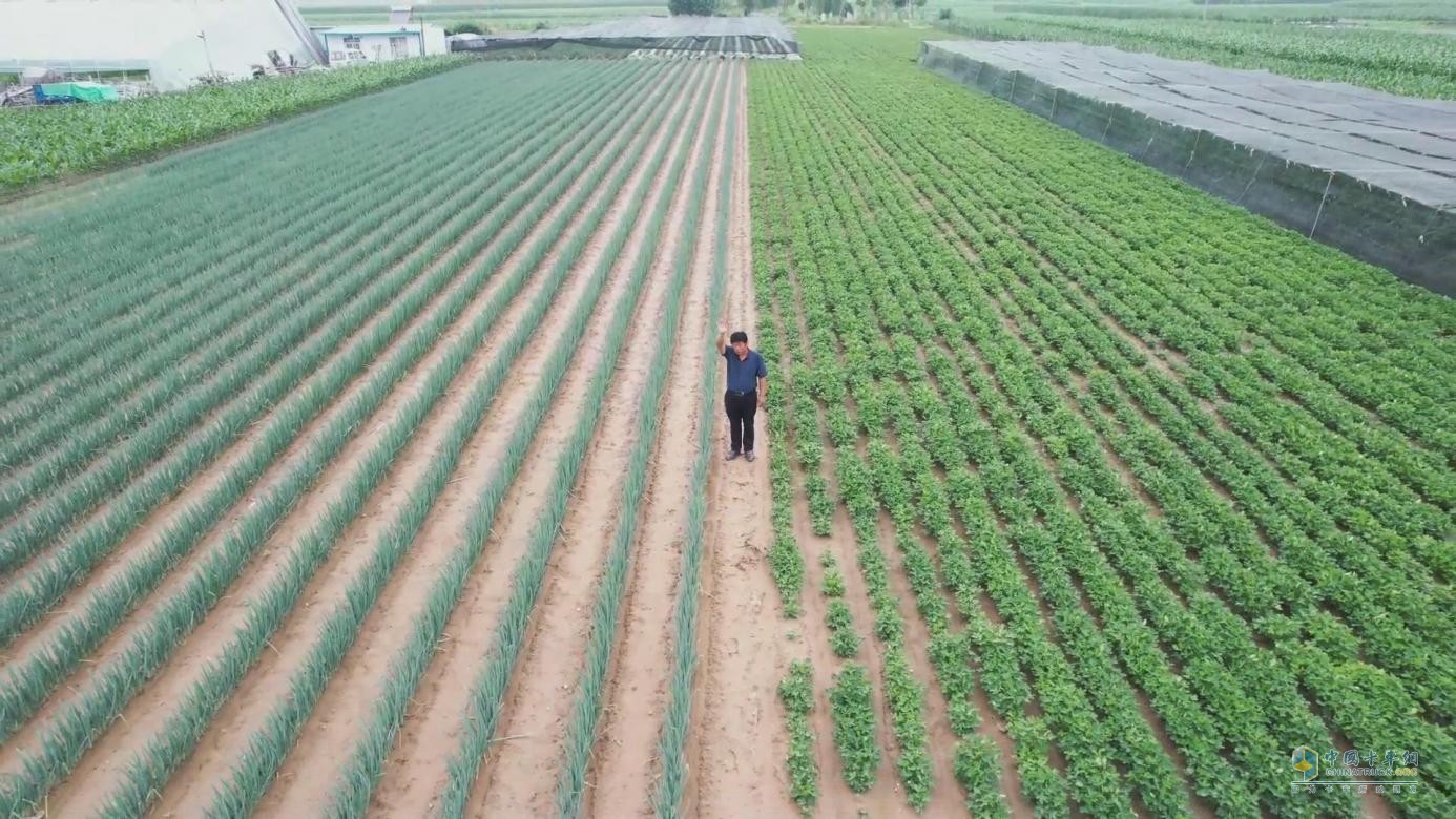 引吭高歌送綠通，他是江淮1卡駿鈴“綠巨人”