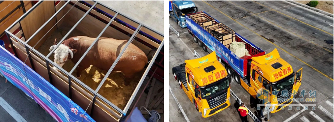 解放卡車：國車送國禮，犇！