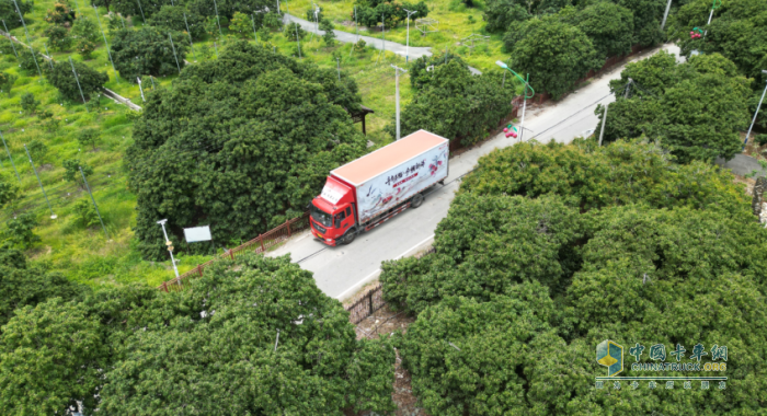 最大規(guī)模荔枝助銷！京東物流聯(lián)合多方打造全國(guó)荔枝產(chǎn)銷生態(tài)圈