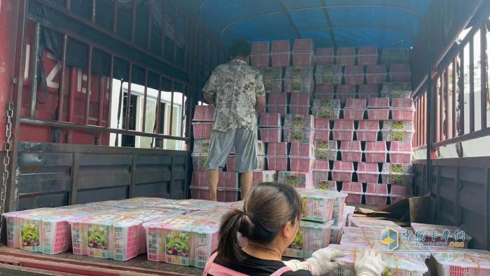 90后年輕用戶(hù)工作休閑兩不誤 開(kāi)德沃斯能跑綠通還能去釣魚(yú)？