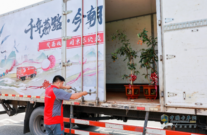 最大規(guī)模荔枝助銷！京東物流聯(lián)合多方打造全國(guó)荔枝產(chǎn)銷生態(tài)圈