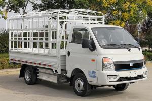 遠(yuǎn)程汽車(chē) E200 標(biāo)配版 4.1米單排倉(cāng)柵式 88kWh 純電動(dòng)輕卡載貨車(chē)(DNC5049CCYBEVK1)