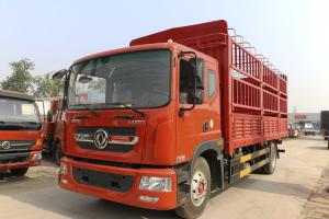 東風(fēng) 多利卡D9 170馬力 4X2 6.8米 國五 倉柵式載貨車(EQ5160CCYL9BDGAC)