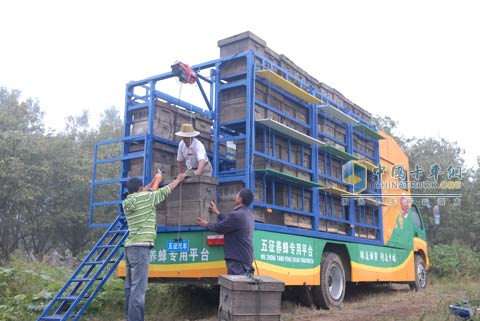 五征奧馳用戶搬運蜂箱